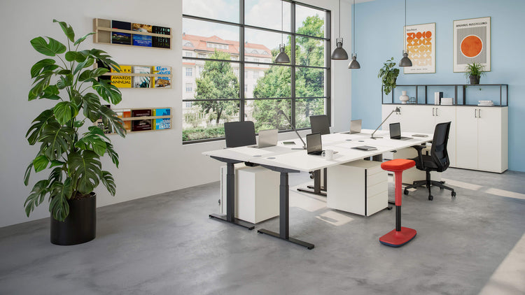 Modernes, helles Büro eingerichtet mit hali Möbel- zu sehen ist ein großes Fenster, weißen Schreibtischen, ergonomischen Bürostühlen und Stauraummöbeln. Pflanzen, Wandregale, Poster und ein roter Stehhocker setzen wohnliche Akzente.