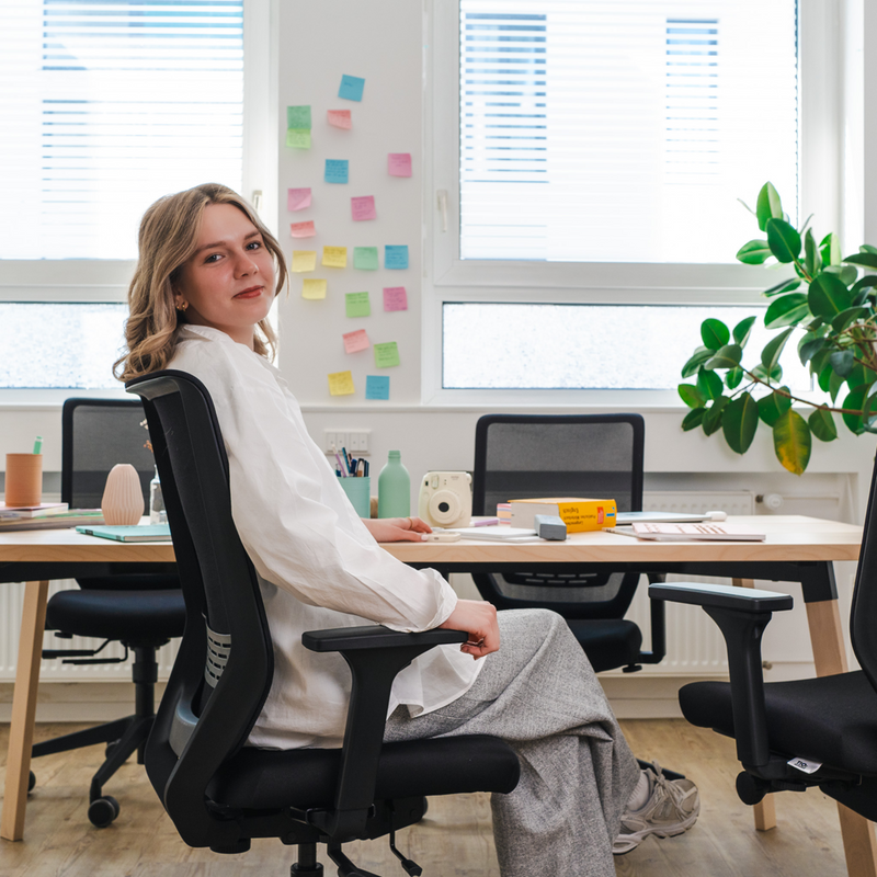 to-sync  work mesh – Beschreibung