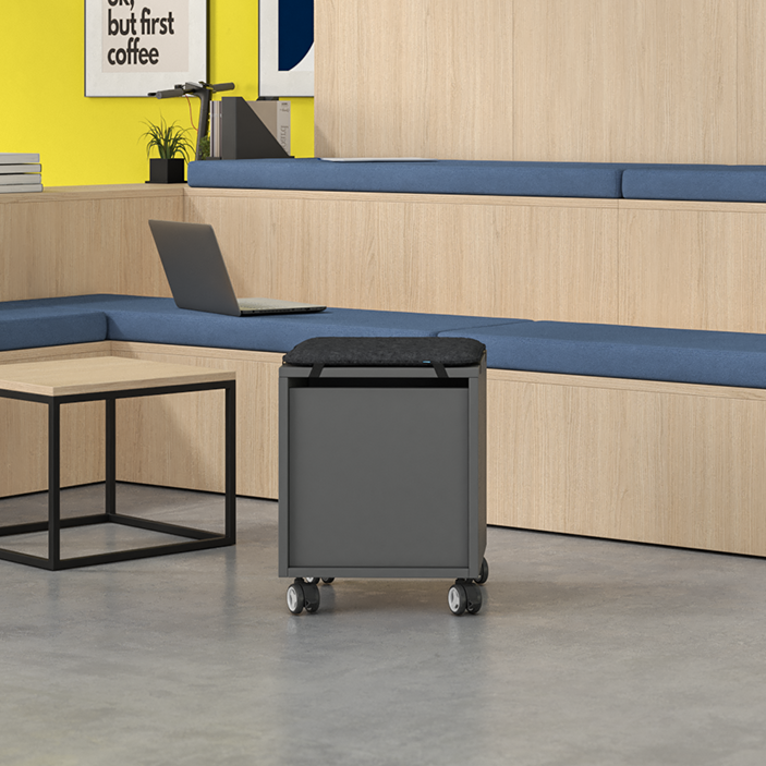 Hocker Bully